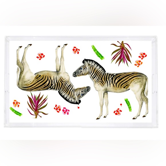 Lucite Mirroring Seeing Double Tray - Picture 1 of 1